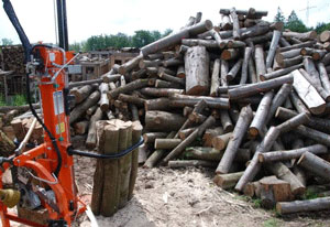 Holzsplater